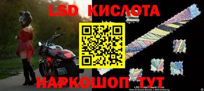 прущие грибы Ангарск