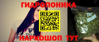 прущие грибы Ангарск