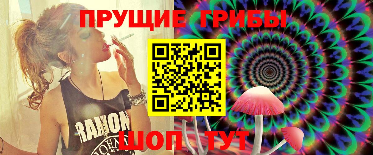 Псилоцибиновые грибы GOLDEN TEACHER  Галлюциногенные грибы Psilocybe  Снежинск  Вход с VPN 